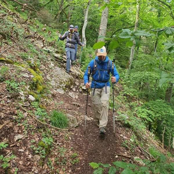 La marche SMS : késako???