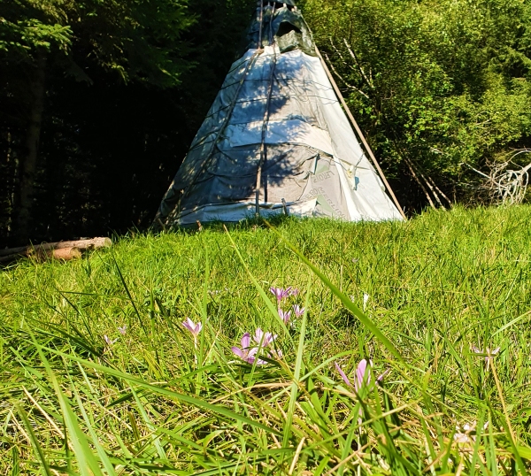 2 jours et 1 nuit sous tipi, massif des Bauges