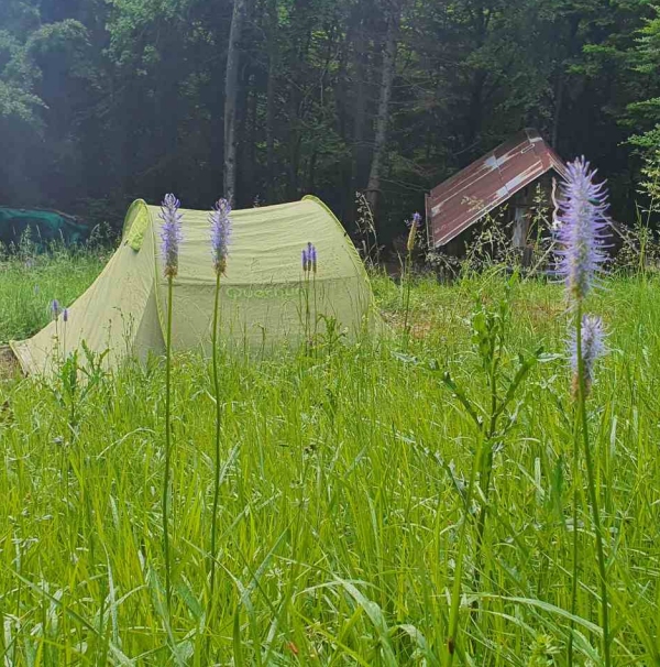 2 jours et 1 nuit sous tipi, massif des Bauges