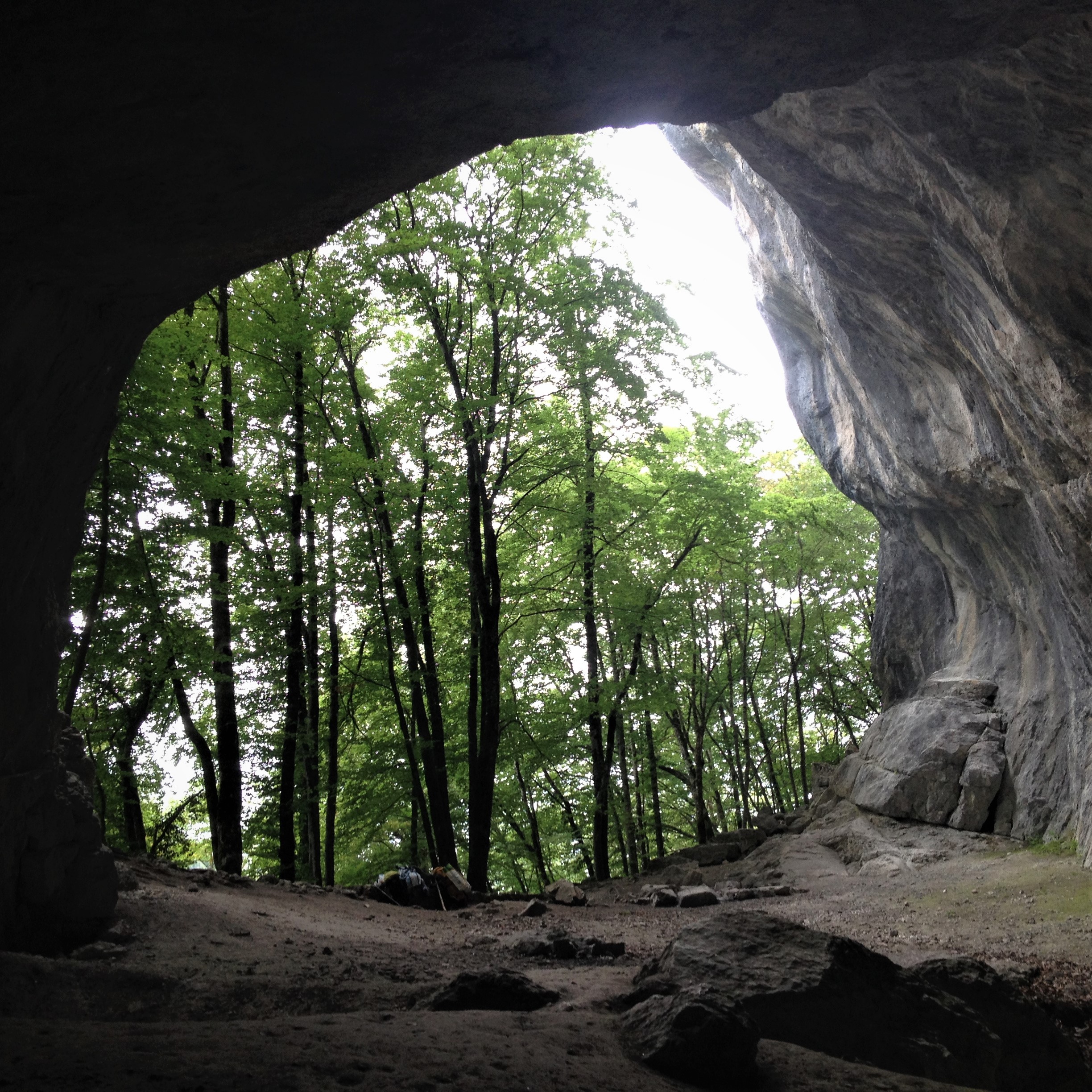 10 - 14 août 2026 Nature & Reliance au Vivant, massif des Bauges